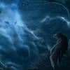 LoneWolf50000