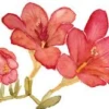 les fleurs du mal2