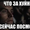 Голубь Синяк