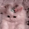 princess_stina