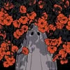 Soln_fury