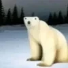 Суглинок печатает