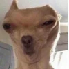 Фейхоаааа