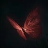 The Blighted