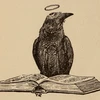 Catching Feathers