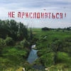 Мартиция.Кинг