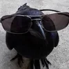 Дракониус Ф.0.2
