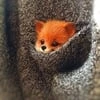 Кусочек Звезды
