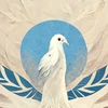 Aer misited