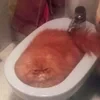Я в биде