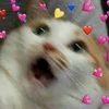 brawl stars emulator player
