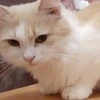 Я_Вху