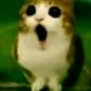 FoXiT_lol