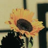 Autumn_Melancholy