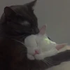 Человек под дождём