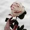 gost_Kasper