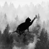 off_air