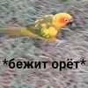 ya_bubunka