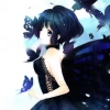 Shadow Butterfly