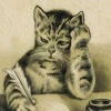 Кот-писатель