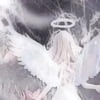 winxland