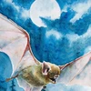 Insane_Bat