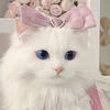 луч от луча солнца весной