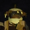 Pilot_FIR