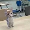 день каменного символа