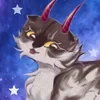 Cofeyka Cat