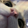 1Канделябр1