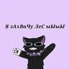 Миса Кучики