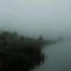 -скумбрия.