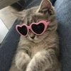 Я непонятно кто