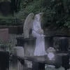 прозрачная ромашка