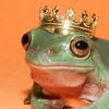 frogfromfrance
