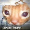 Кёка шпионка