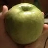 Резинка калеба