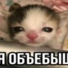 Ёрик6660