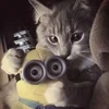вибражоп.