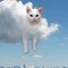 Винегрет с кукурузой