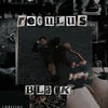 Regulus_crash