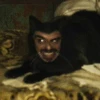 Morrko