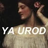 Любимая Теория