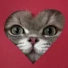 Tina_Shelby