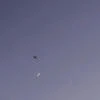 lutik02051998