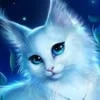 Pearl_Moon