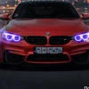 Fantom_xx2