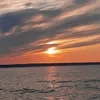 Чайный пакетик 846426