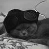 _alice_happy_